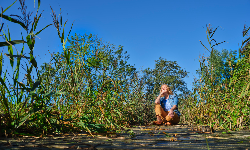 Stagiair Beheerder Groene Leefomgeving