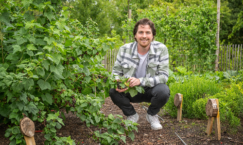 Beleidsmedewerker Natuur en Landschap