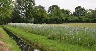 natuurfoto van Boekel