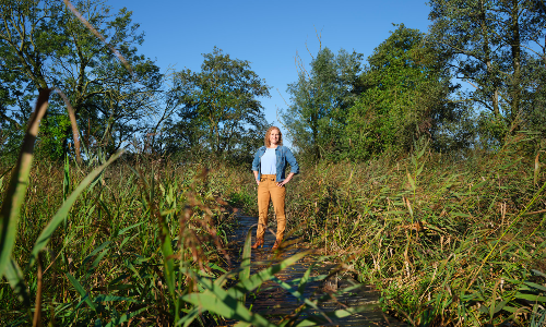 Medewerker Klimaat en Energie
