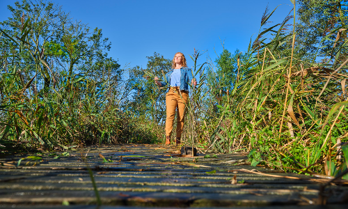 Allround Vakmedewerker Groen