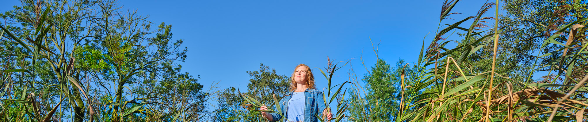 Allround Vakmedewerker Groen