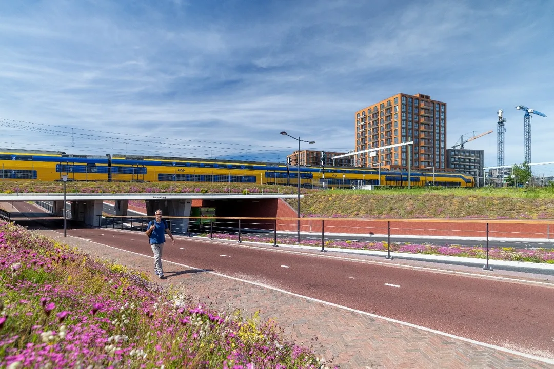 Mischa de Bruijn Stationsgebied Mischa de Bruijn Stationsgebied