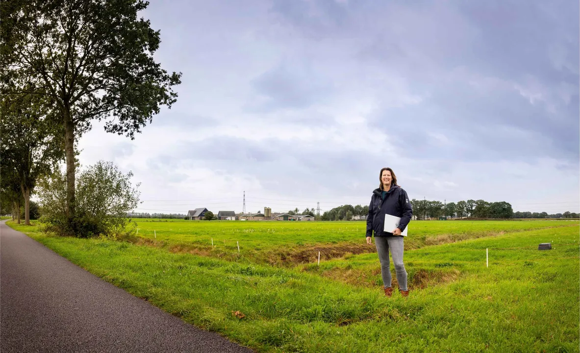 Landschap