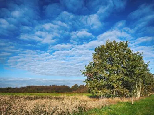 Natuur