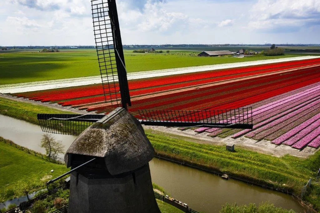 Molen