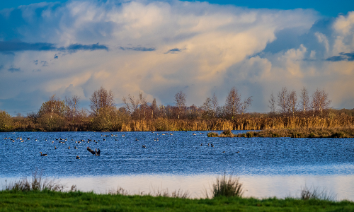 Midden-Groningen in beweging, een frisse start van het nieuwe jaar.