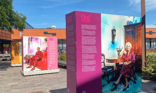 Oud Roze bij het Huis van Cultuur en Bestuur
